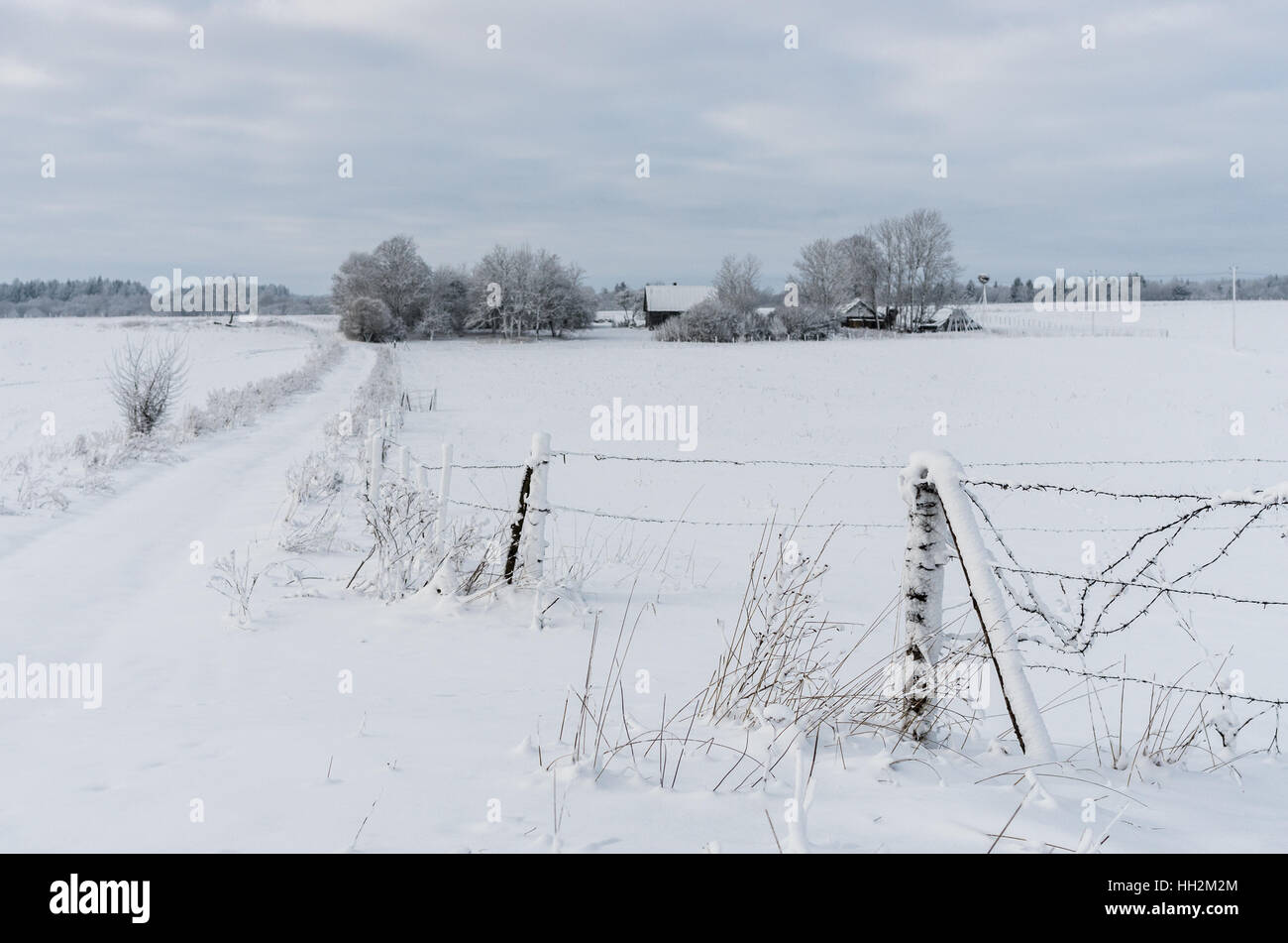 Snowy winter scene with an old farm house in the countryside. Stock Photo