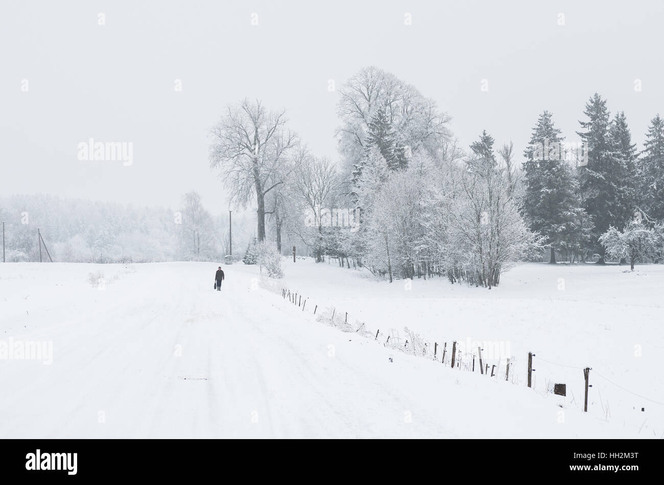 Road covered winter snow in the field Stock Photo - Alamy
