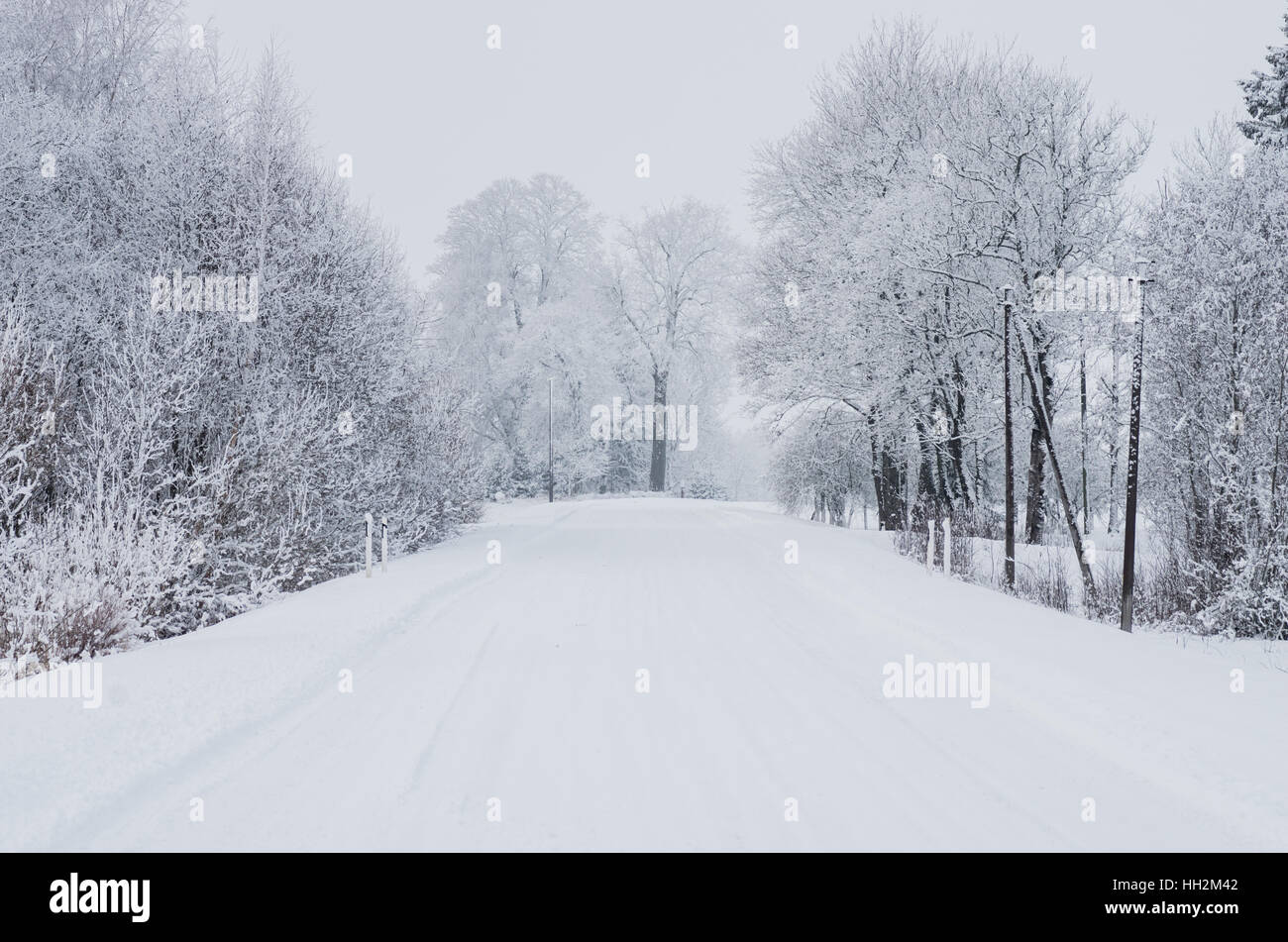 Road covered winter snow in the forest Stock Photo - Alamy
