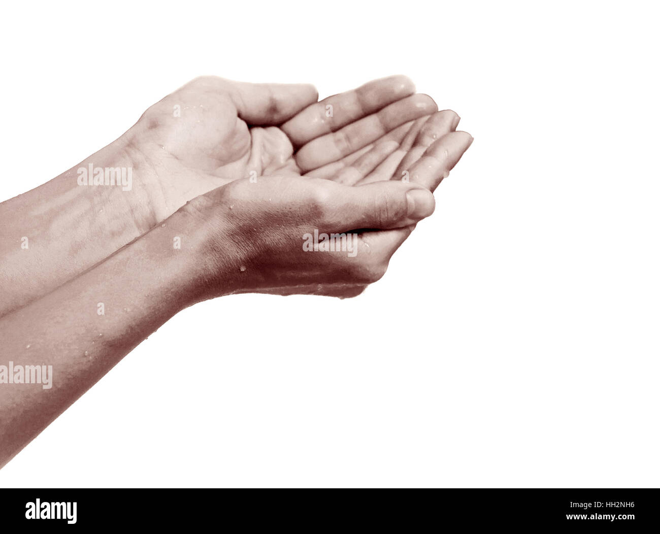 wet hands, isolated Stock Photo Alamy