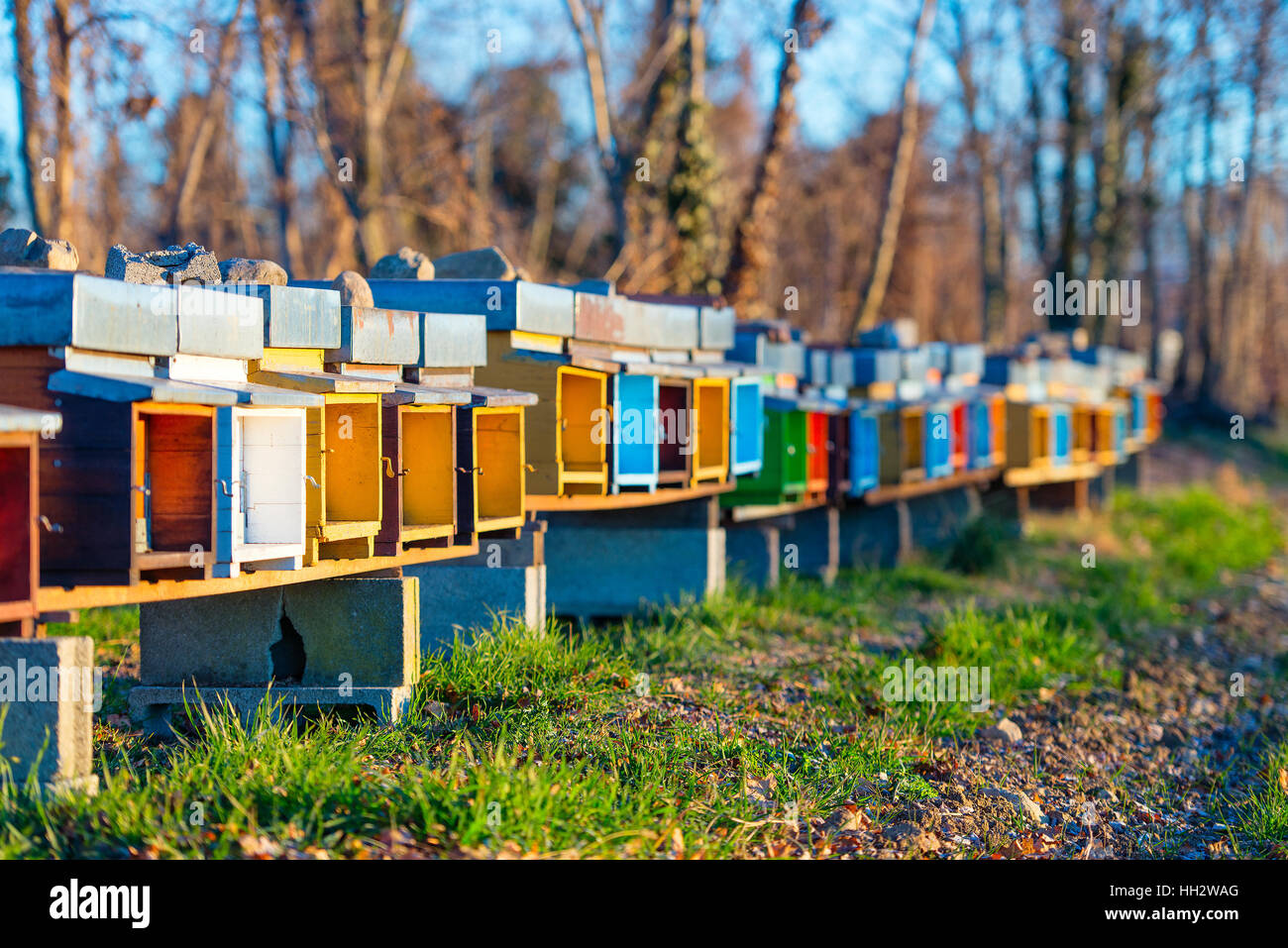 Colorful bee hives italy hi-res stock photography and images - Alamy