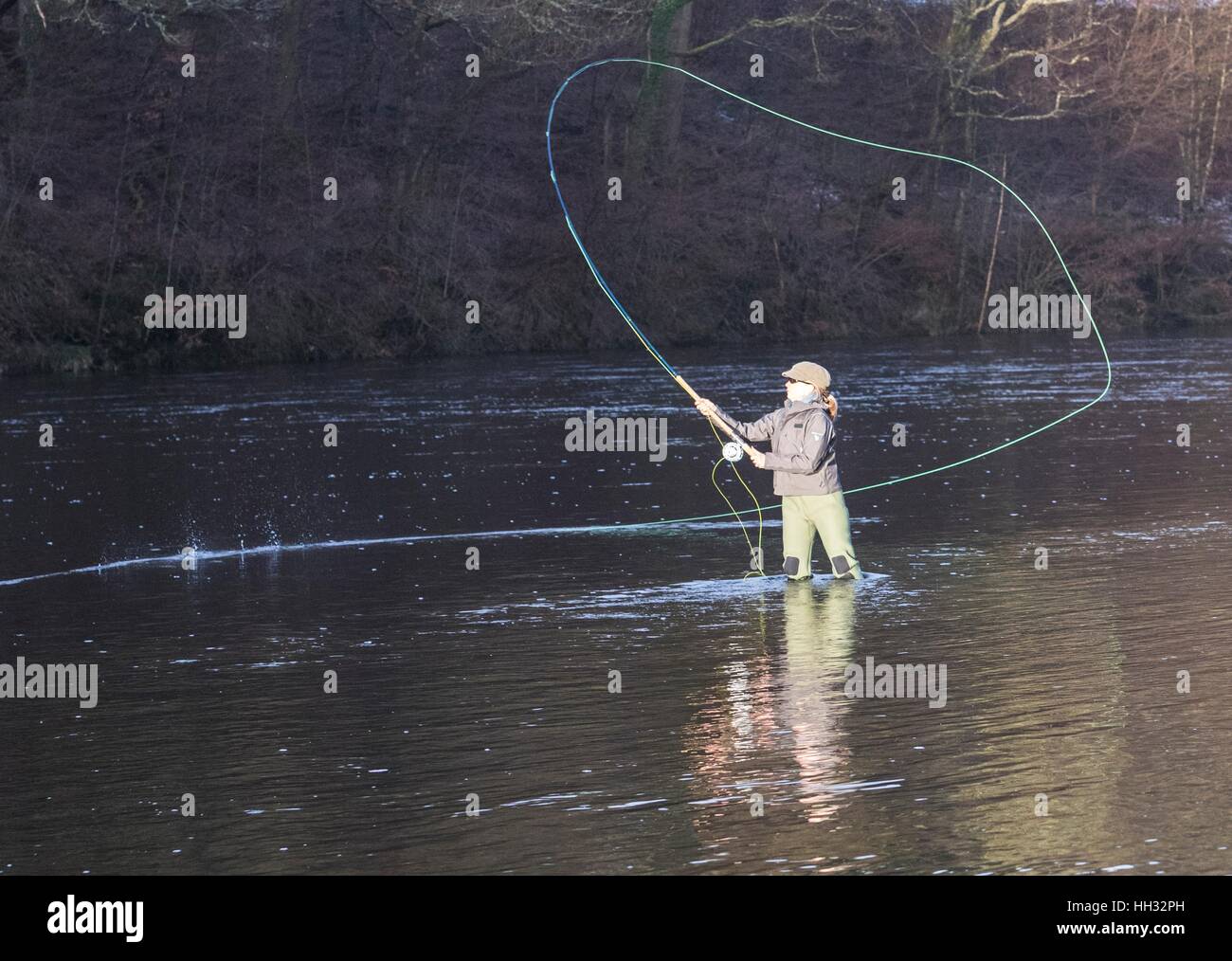 Salmon fishing uk hires stock photography and images Alamy