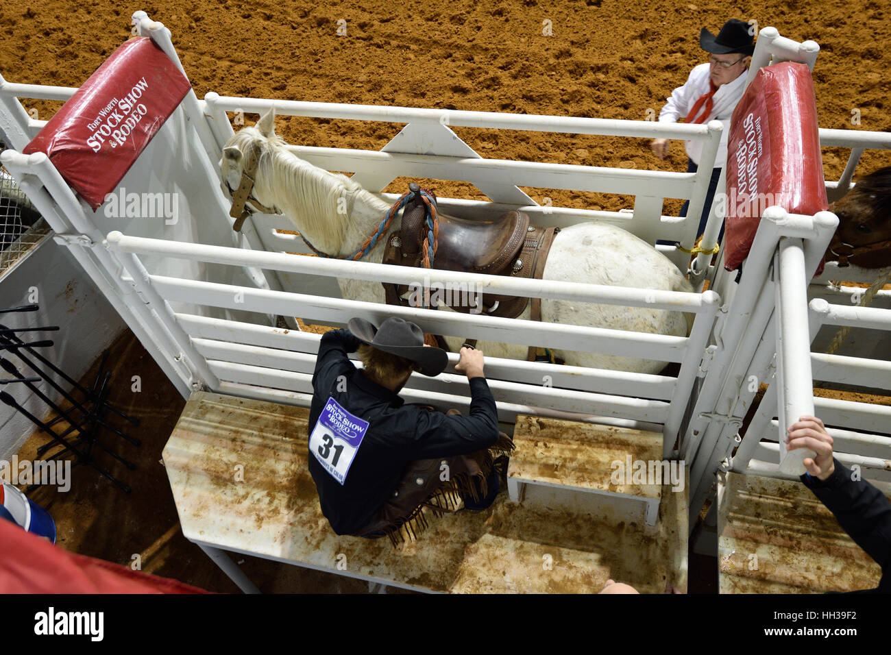 Ft. Worth, Texas, USA. 16th January, 2017.  A cowboy awaits the first bronc ride at the Cowboys of Color Rodeo on Martin Luther King Jr. Day at the Ft. Worth Stock Show and Rodeo. Credit:  Hum Images/Alamy Live News Stock Photo