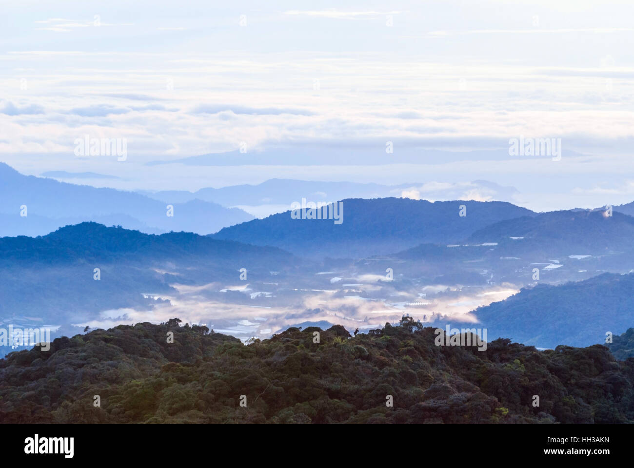 Sunrise over misty jungle in Cameron highlands, Malaysia Stock Photo ...