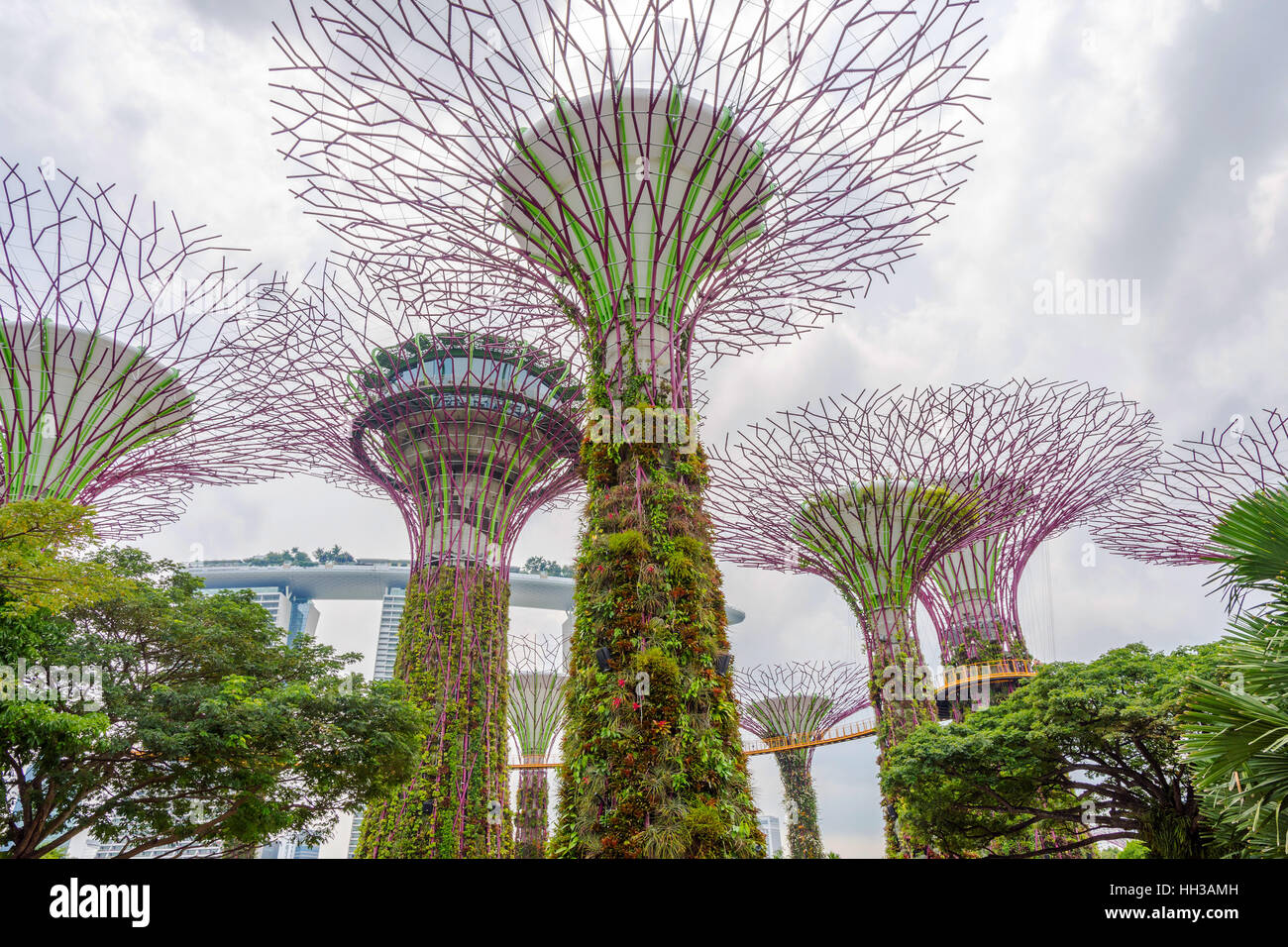View on green abstract singapore tropical flowers in Gardens by the bay