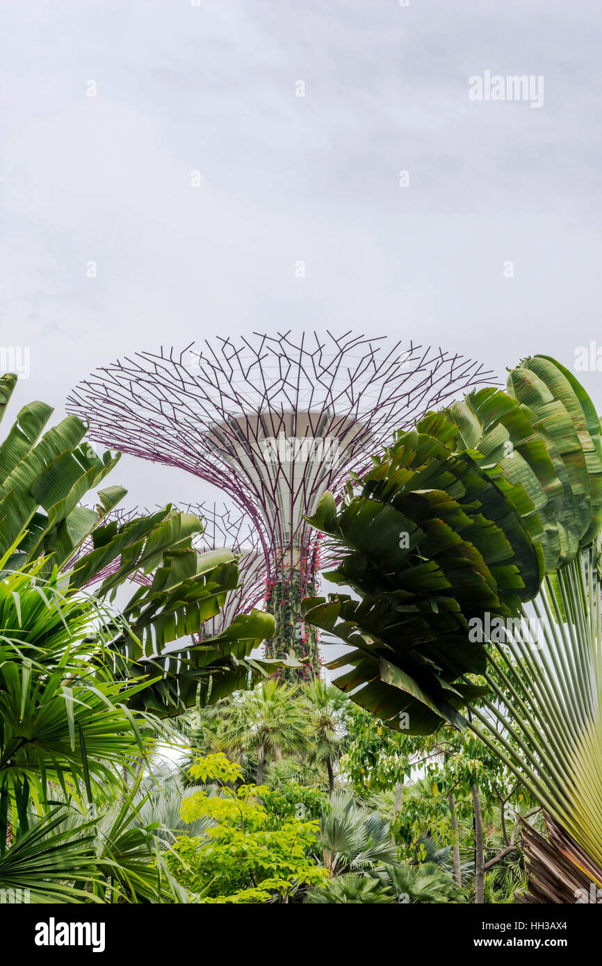 View on green abstract singapore tropical flowers in Gardens by the bay