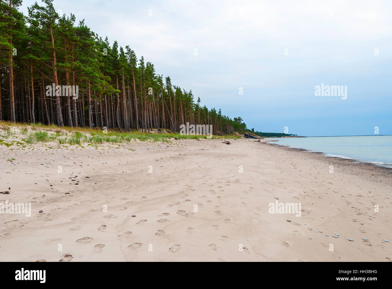 Лиепая латвия фото