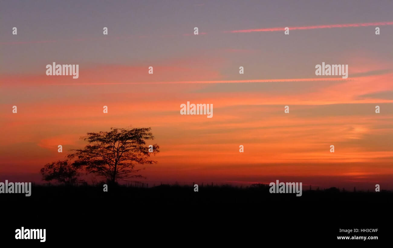 Sunset in the country with a tree silhouette Stock Photo - Alamy