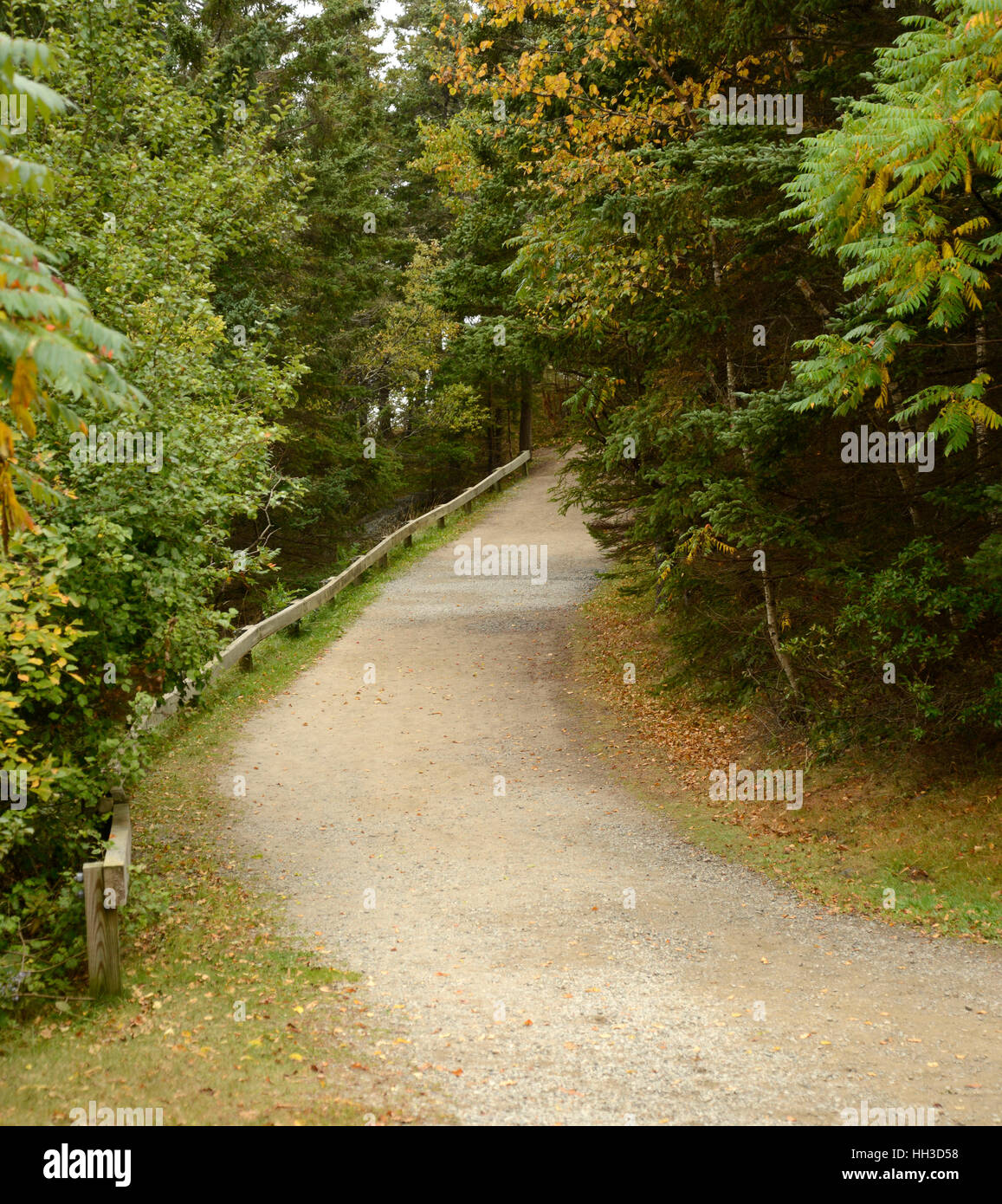 long gravel path in a wooded area. The path is looking uphill with many ...