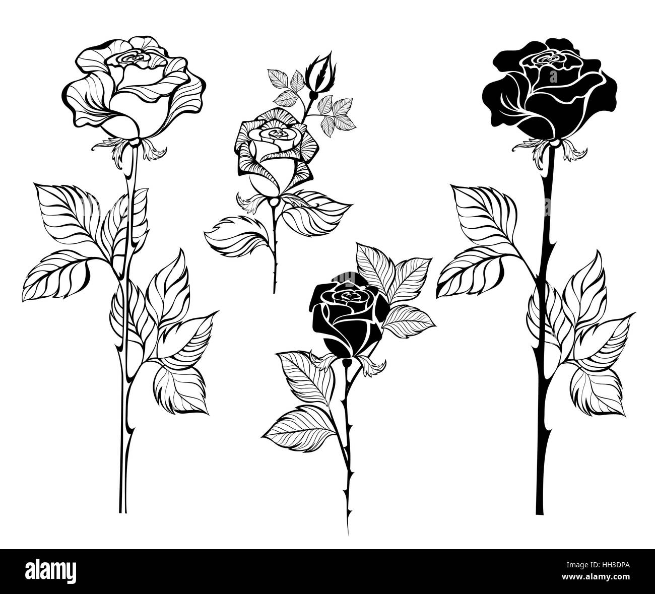 set of painted art, contour roses on a white background Stock Vector