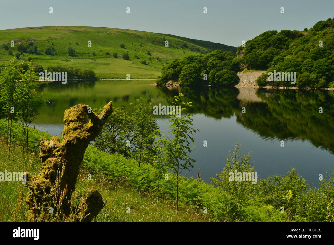 A lake on a summers day in the Elan Valley, Wales, UK with tree stump in foreground Stock Photo