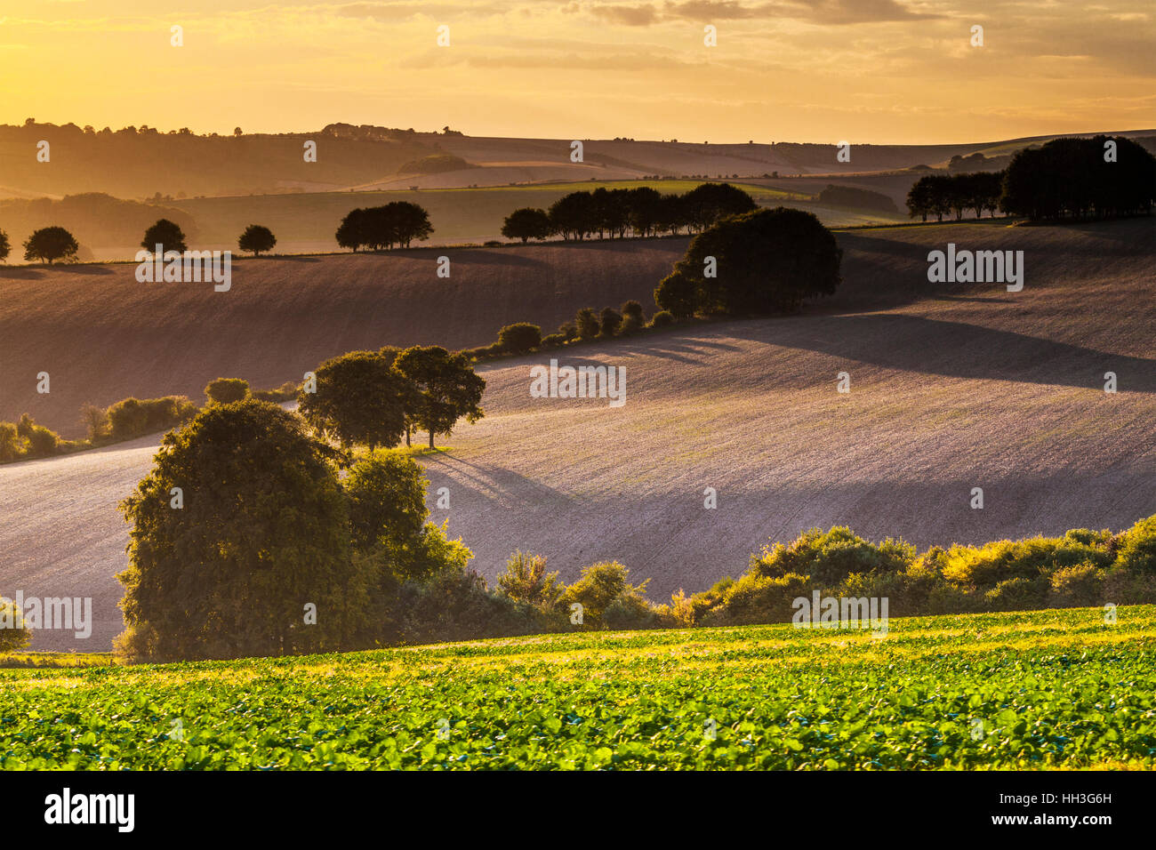 Sunset over the North Wessex Downs in Wiltshire. Stock Photo