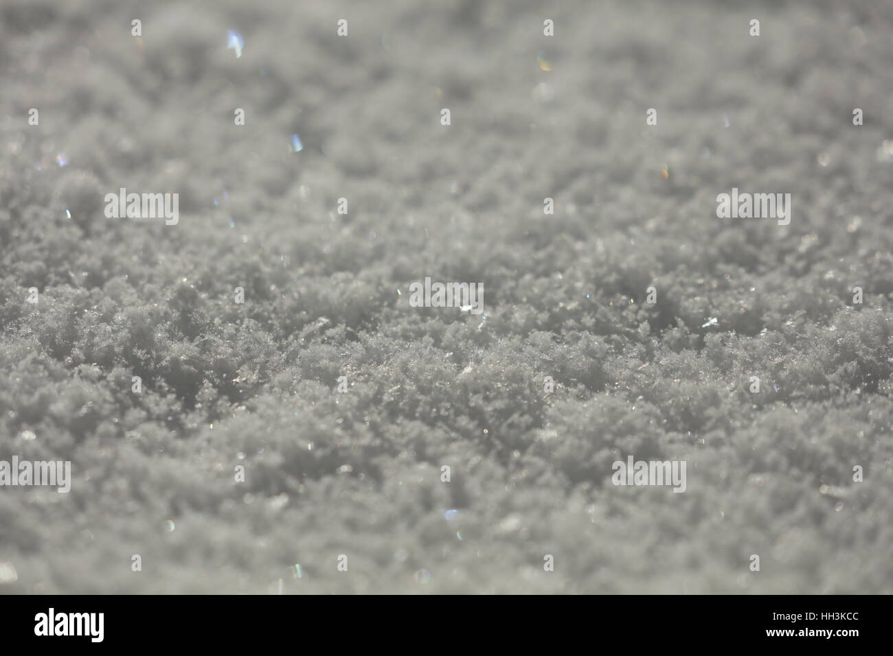 Snow crystals in winter landscape Stock Photo