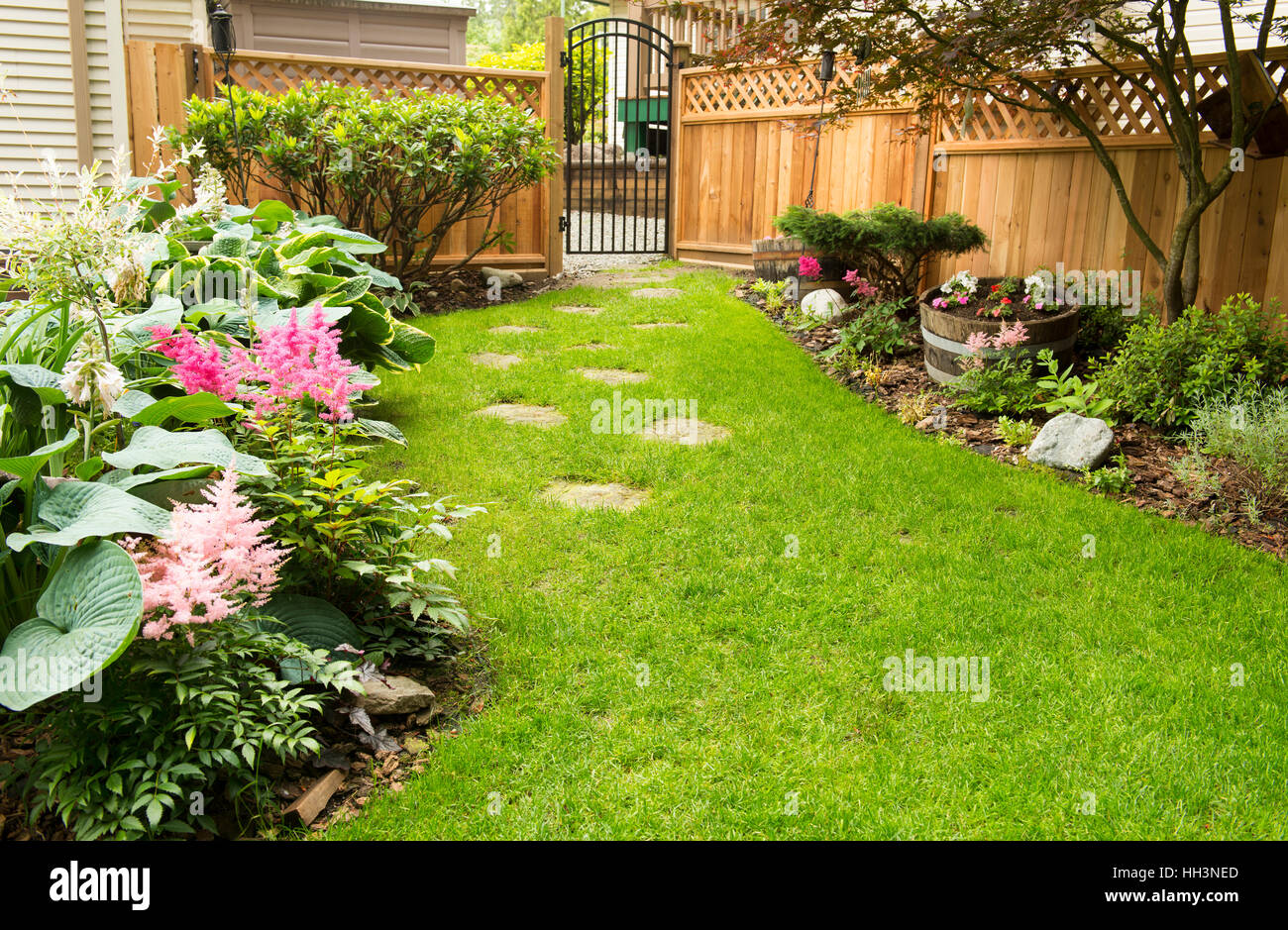 Back yard path leads past garden in bloom during transition from spring to summer. Stock Photo