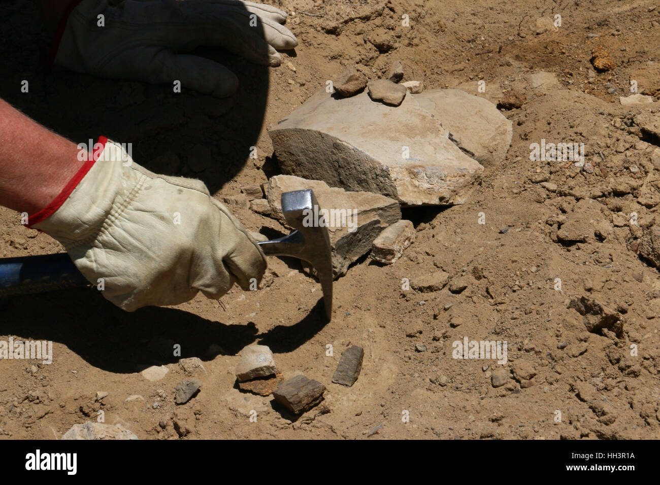 Paleontologists digging dinosaur bone fossils Utah Great Basin desert scientist Stock Photo