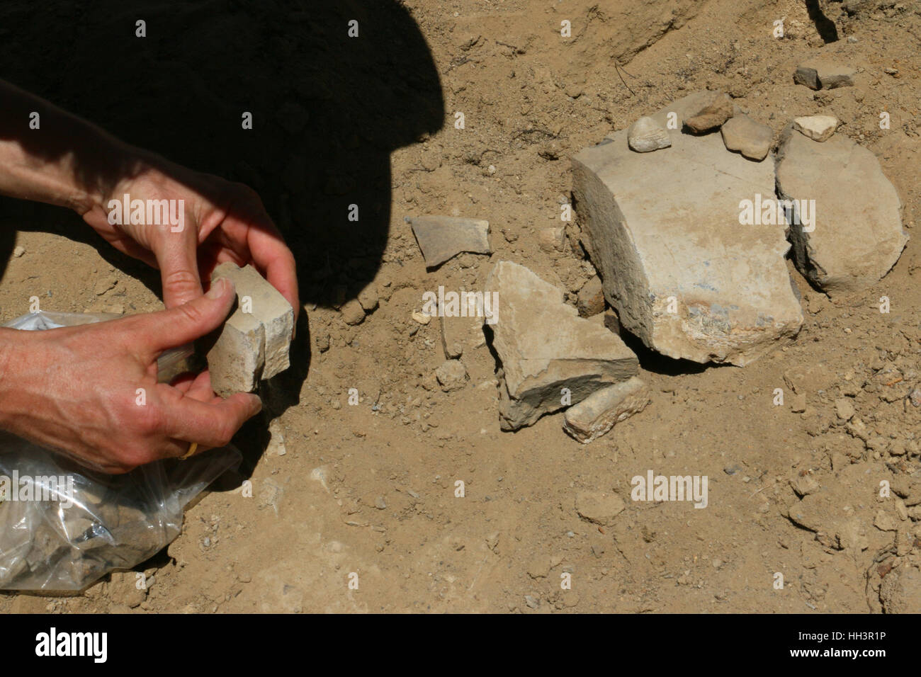 Paleontologists digging dinosaur bone fossils Utah Great Basin desert scientist Stock Photo