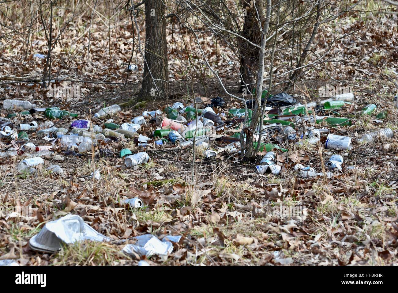 Trash littered on the ground in a forest Stock Photo Alamy