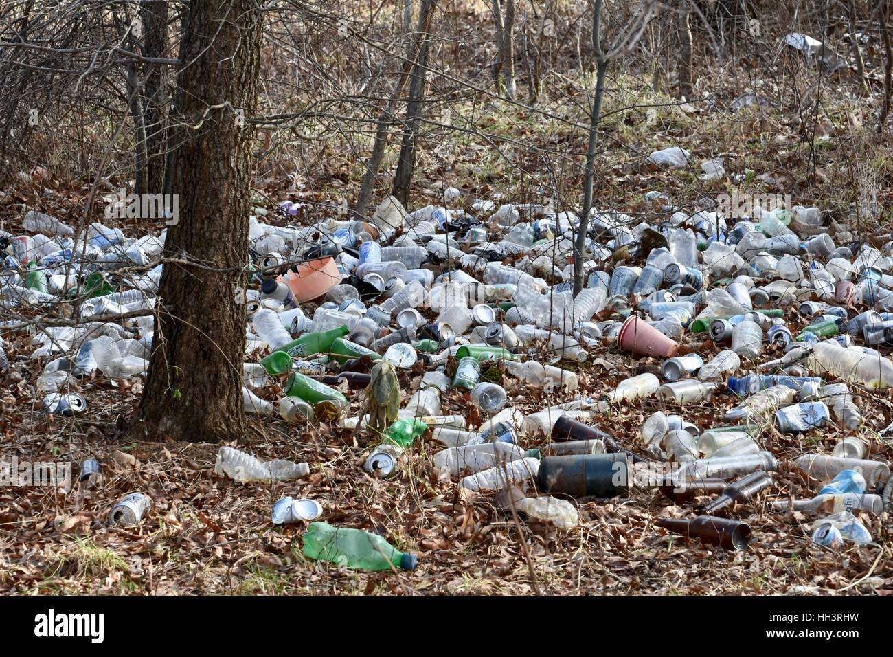 Trash littered on the ground in a forest Stock Photo