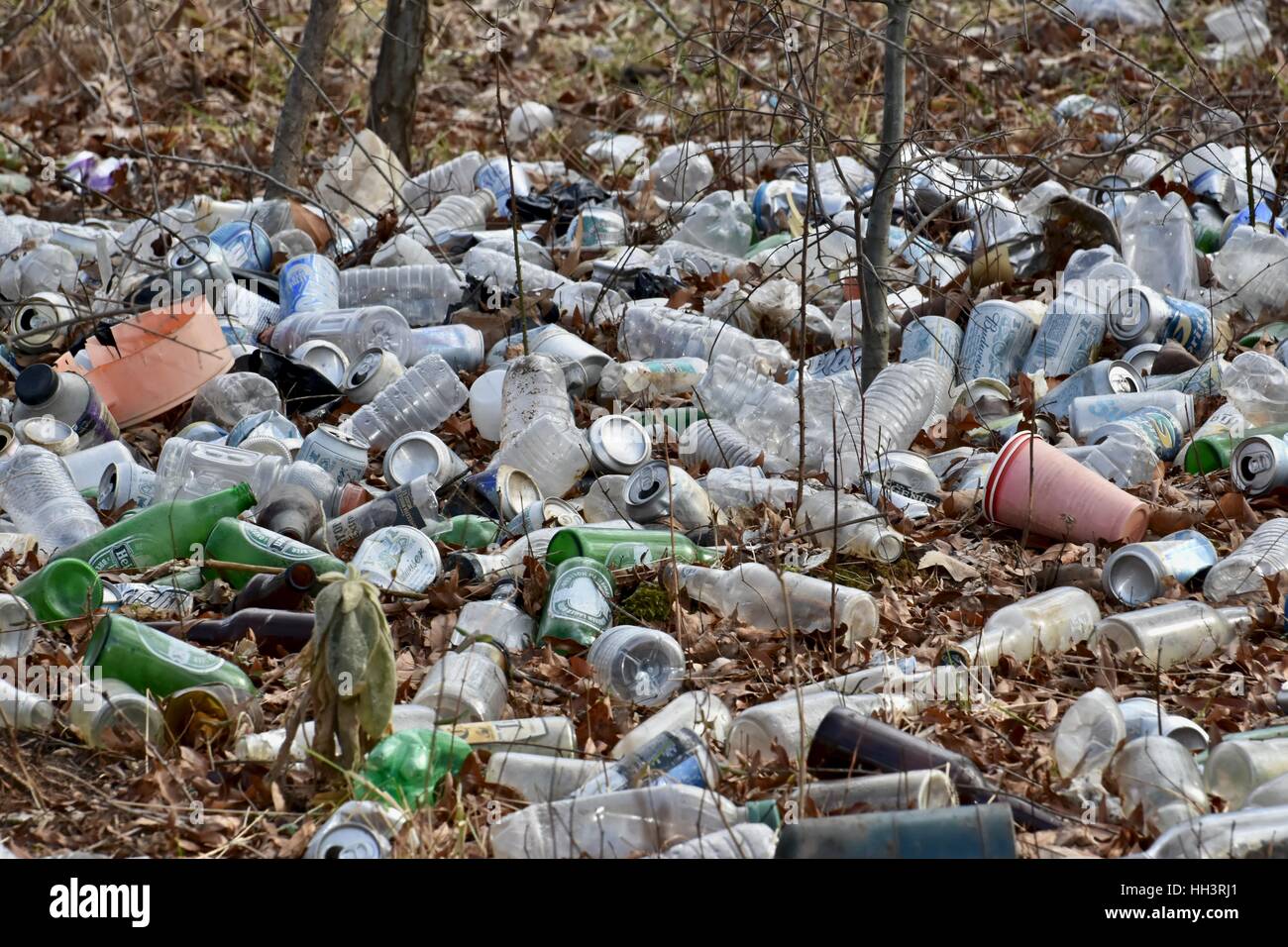 Trash littered on the ground in a forest Stock Photo