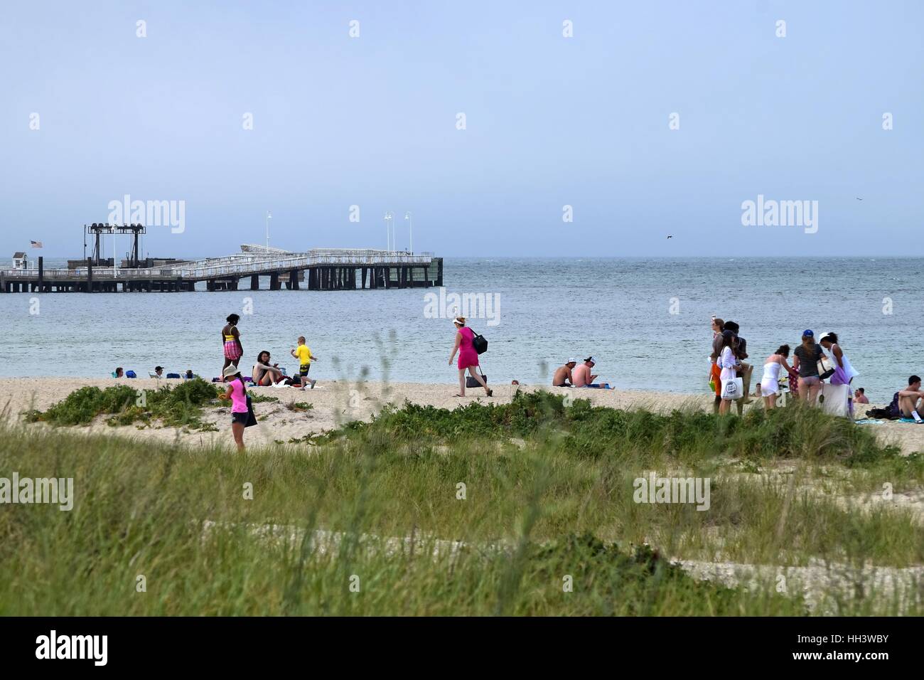 Inkwell Beach beach scene with a ferry dock in the background on Martha's Vineyard Island in Oak Bluffs, Massachusetts Stock Photo