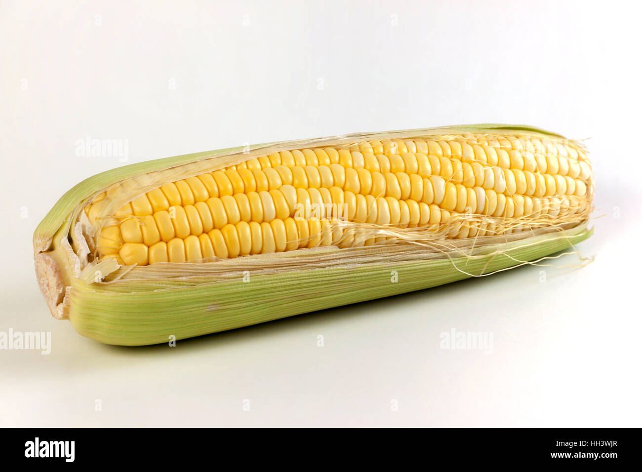 Boil sweet corn on cobs kernels or fresh grains of ripe corn on white background Stock Photo