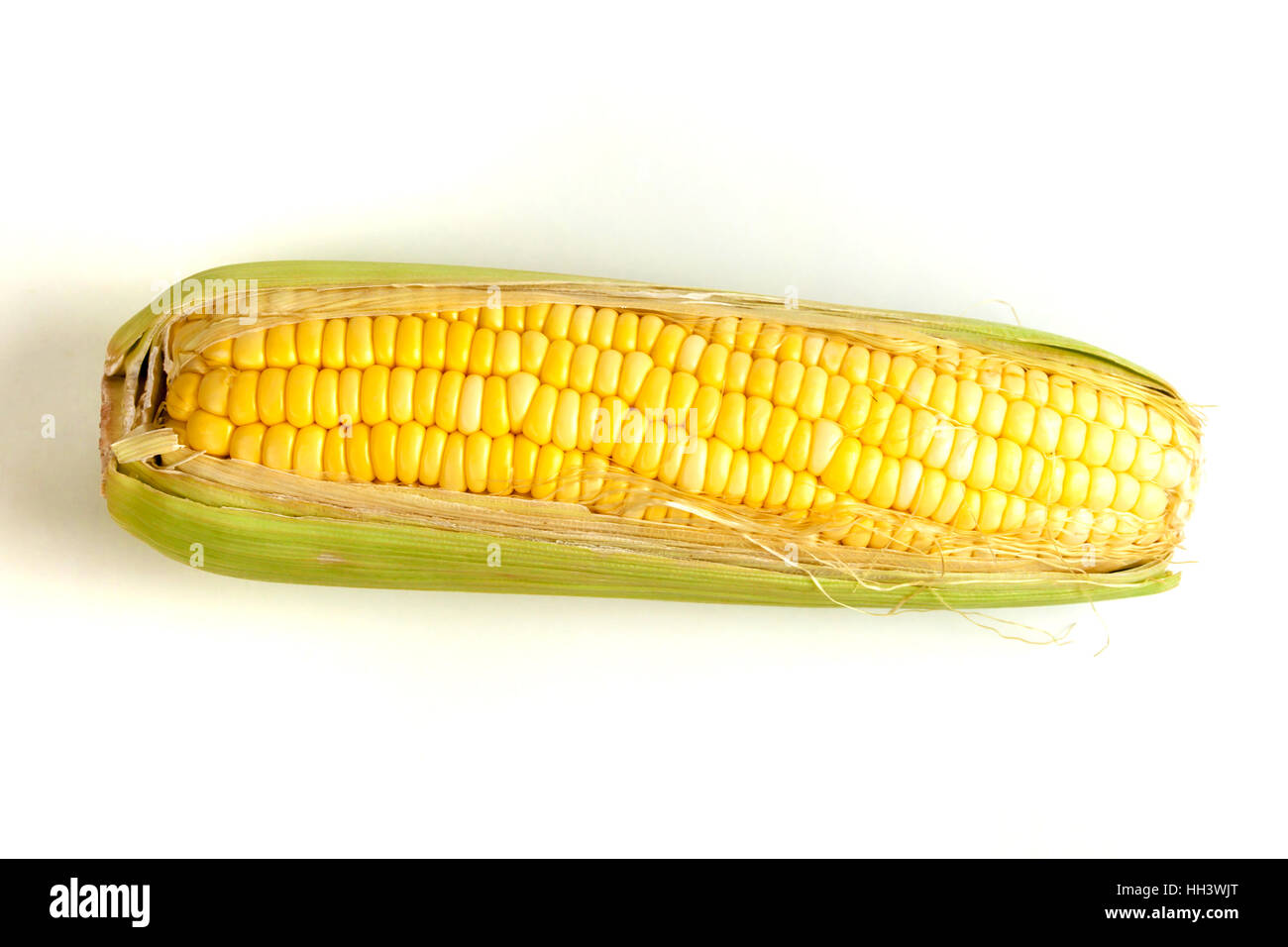 Boil sweet corn on cobs kernels or fresh grains of ripe corn on white background Stock Photo