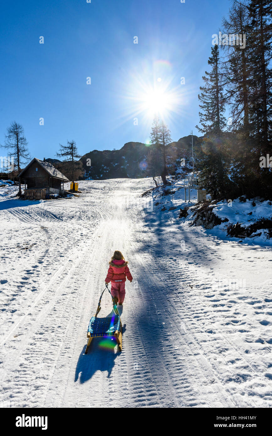 Girl is pulling snow sledge in ski resort wearing winter clothes. High ...