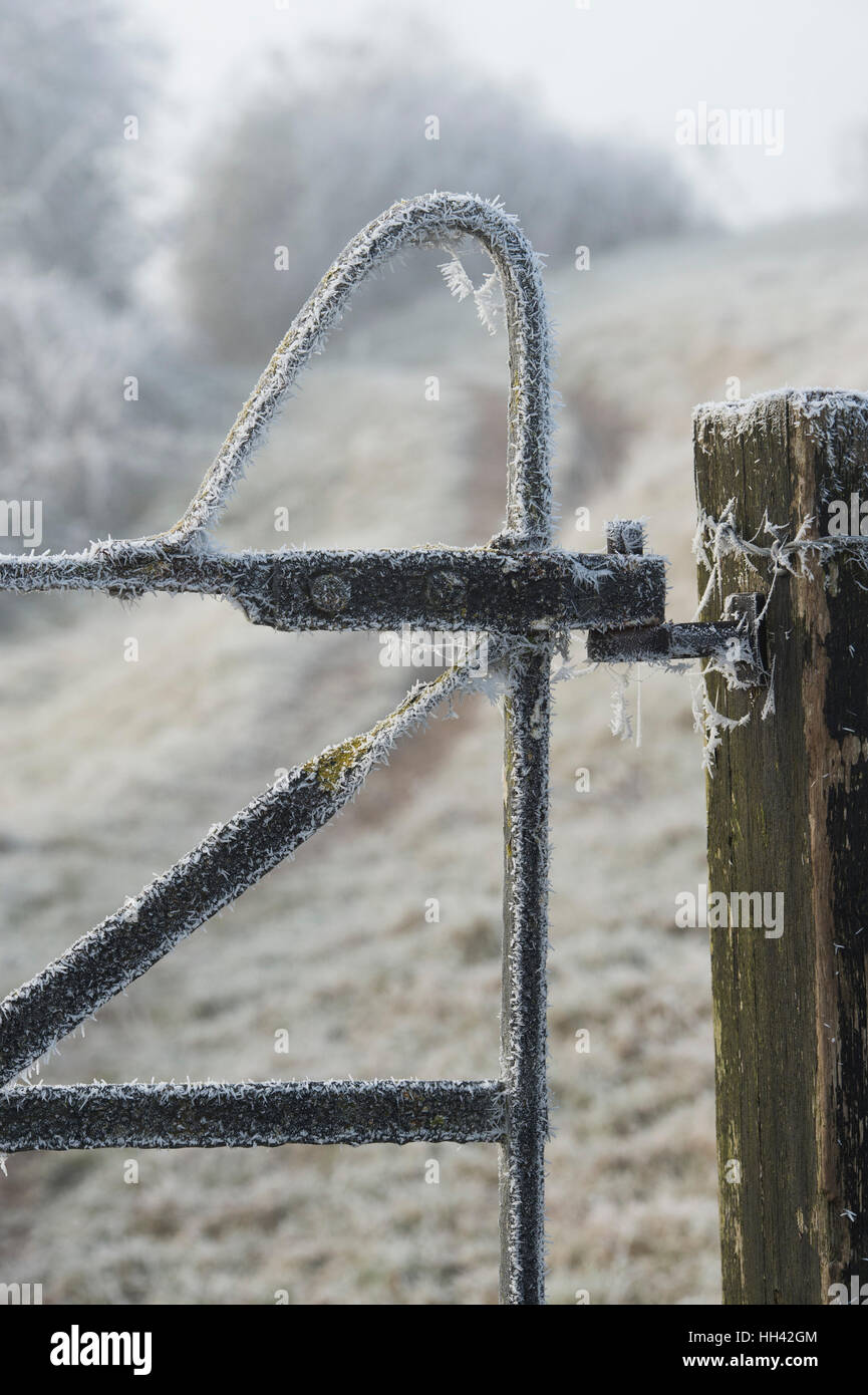 Public footpath fence and gate covered in a hoar frost in the Oxfordshire countryside. UK Stock Photo