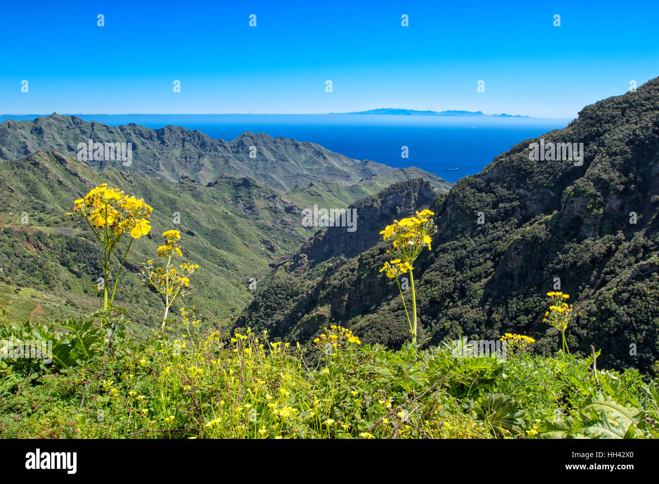 Anaga Mountains, Tenerife Stock Photo