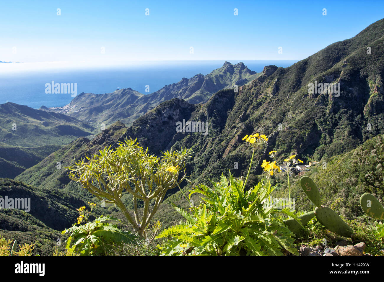 Anaga Mountains, Tenerife Stock Photo