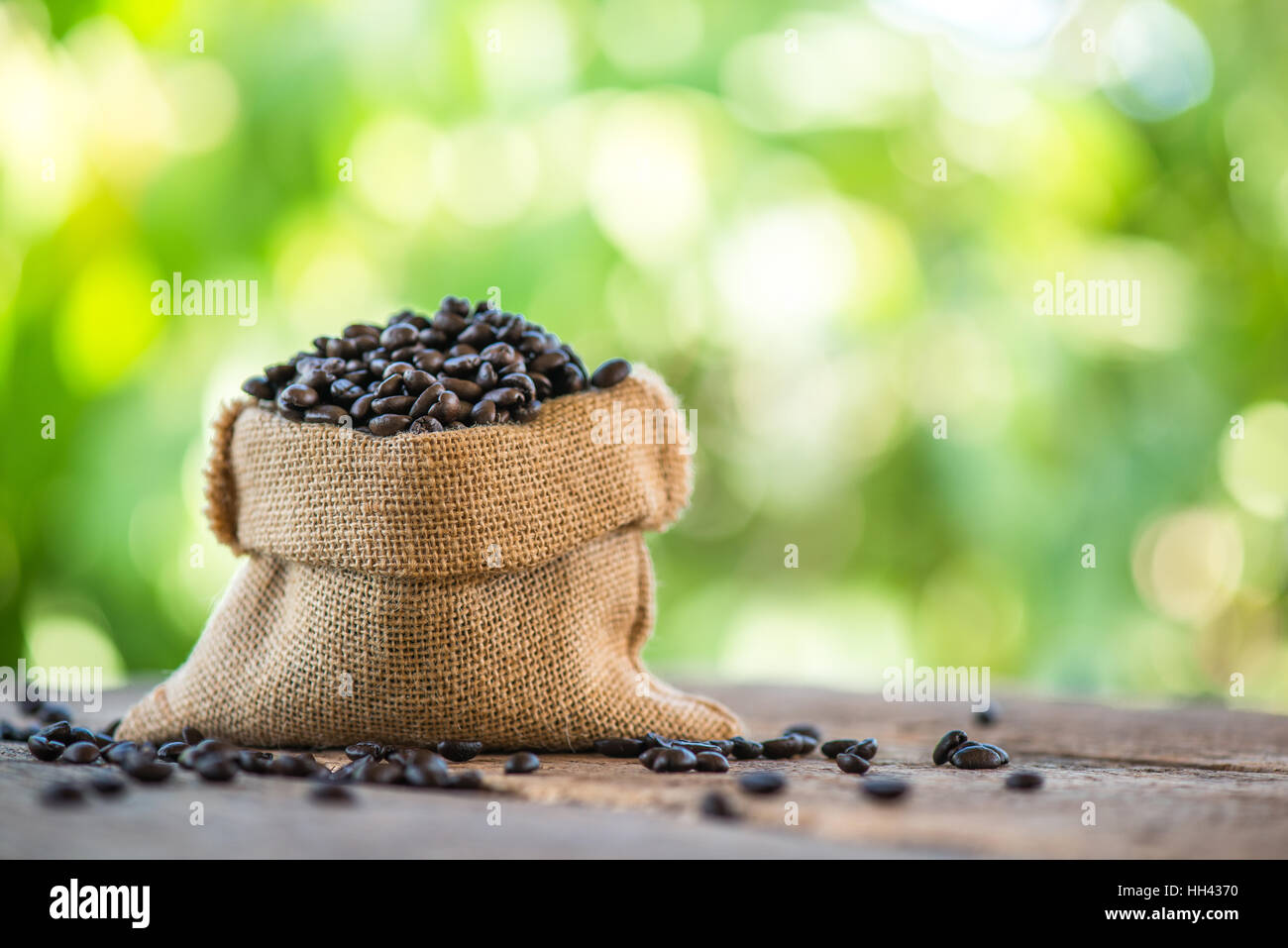 coffee beans in a sack bag on a nature background Stock Photo - Alamy