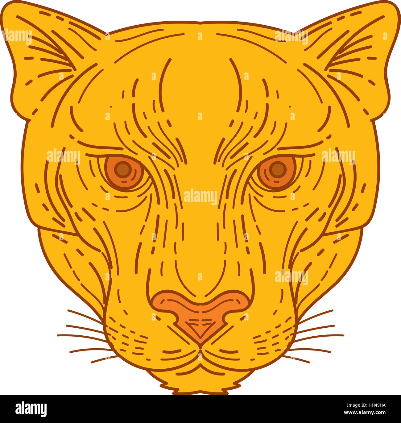 Mono line style illustration of a cougar mountain lion head set on isolated white background viewed from front. Stock Vector