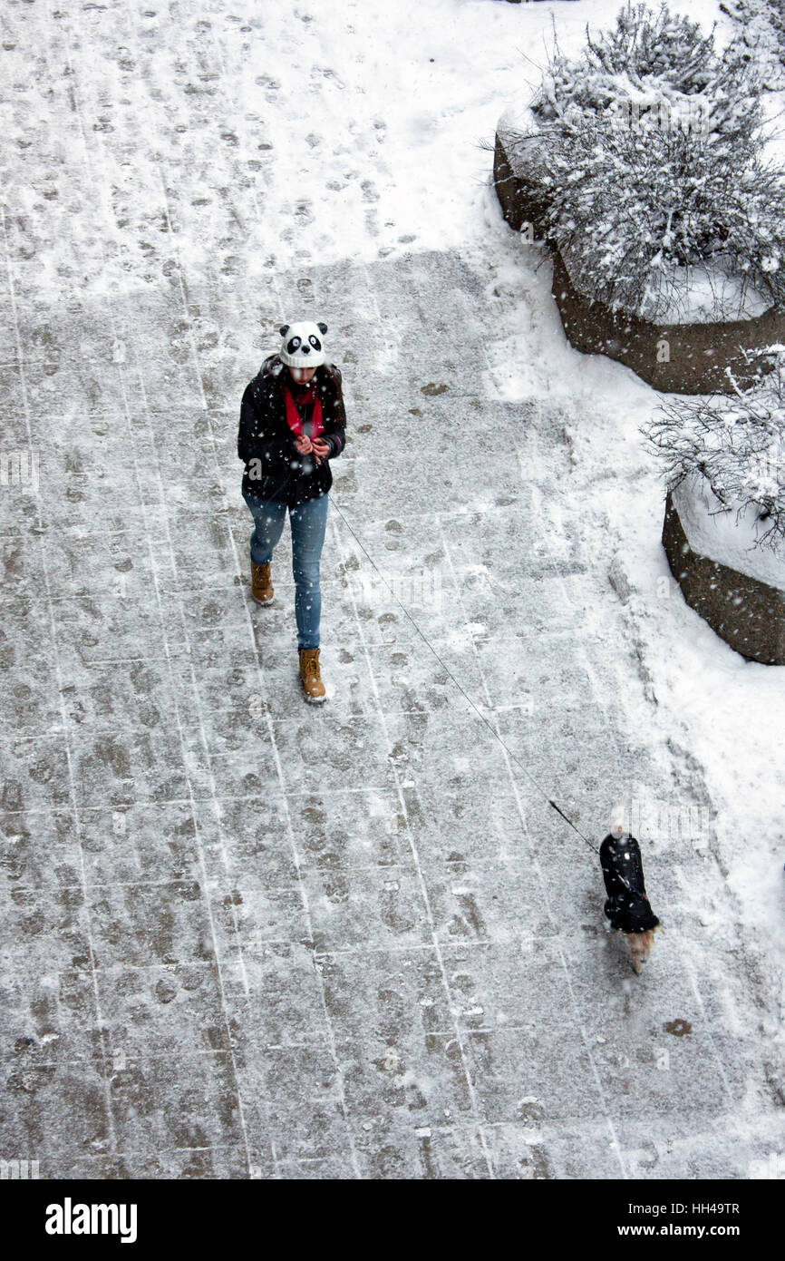 Belgrade, Serbia - January 9, 2017 : Teenager walking her dog on a leash during snowfall, high angle view Stock Photo