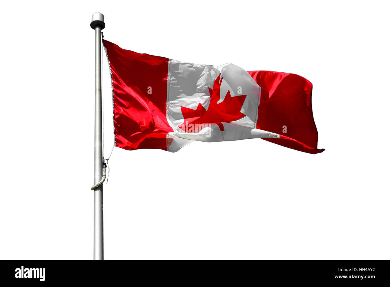 Flag of Canada flying - Canadian flag isolated on white background Stock Photo