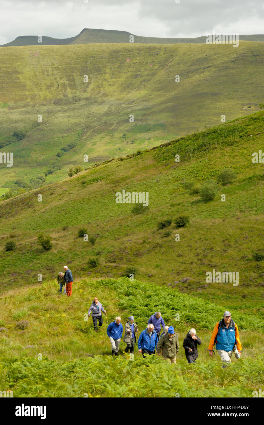 Walking Group at Craig CerrigGleisiad Nature Reserve Stock Photo Alamy