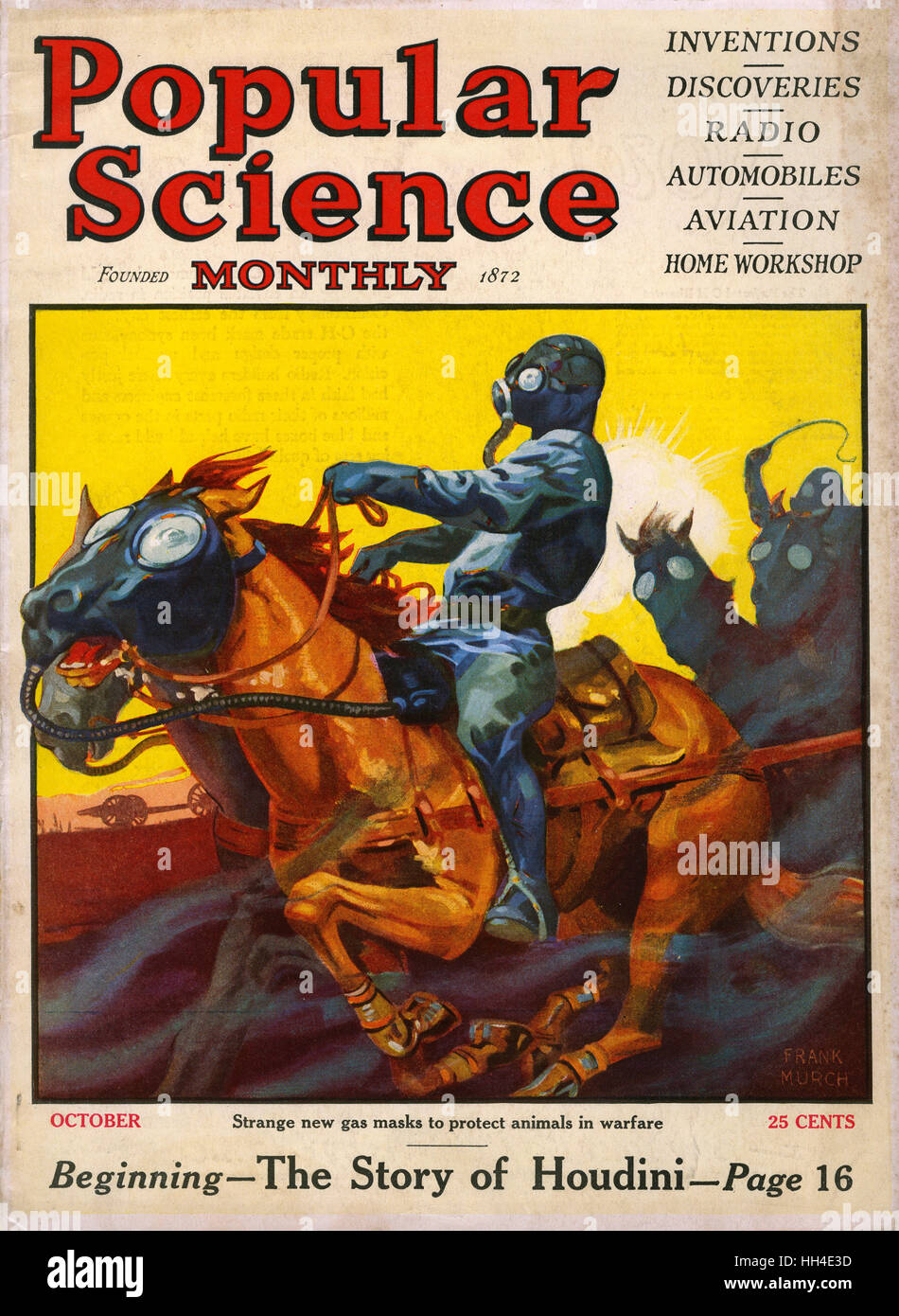 Gas mask for horses hires stock photography and images Alamy