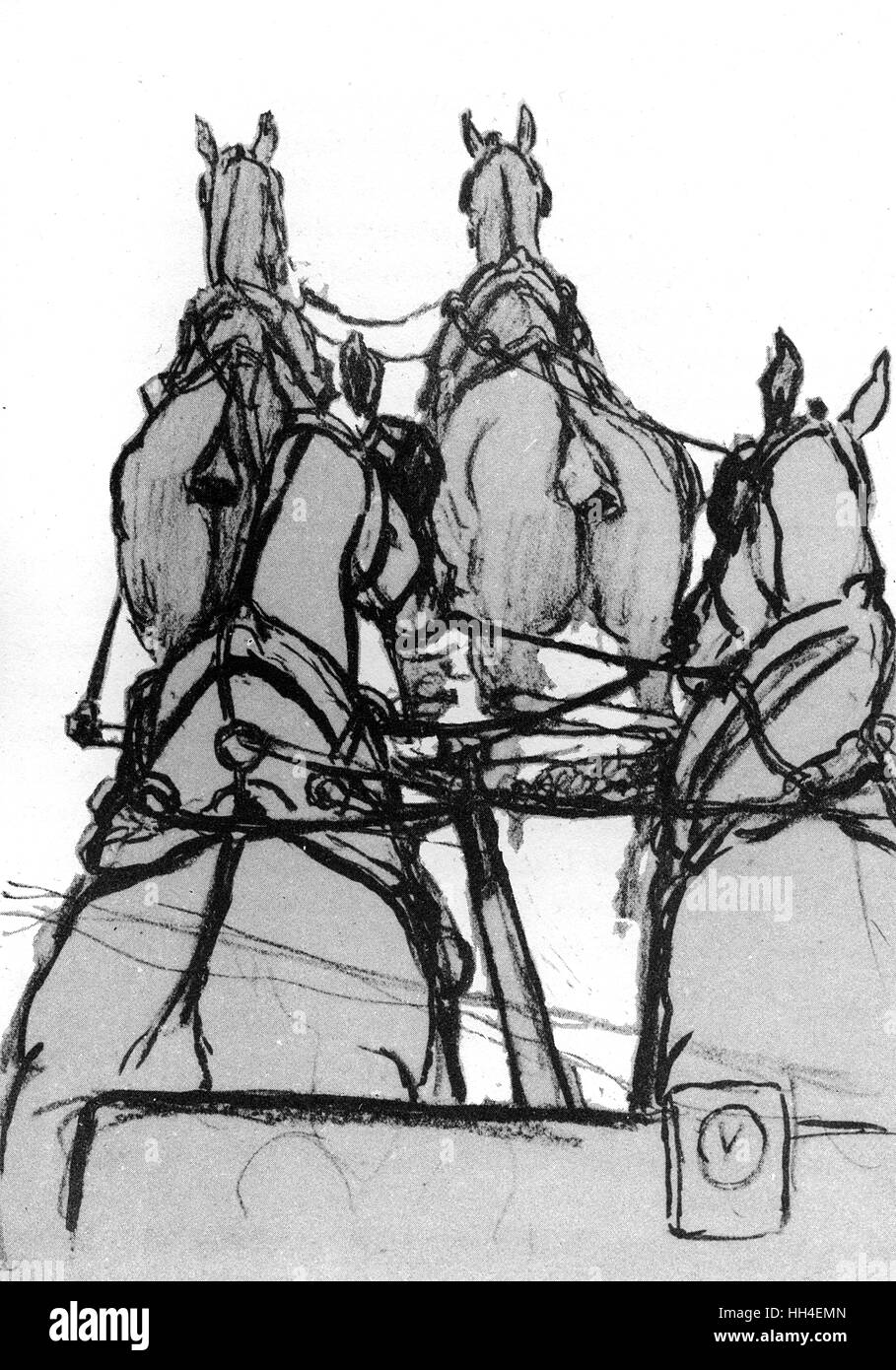 Dead Horses High Resolution Stock Photography and Images Alamy