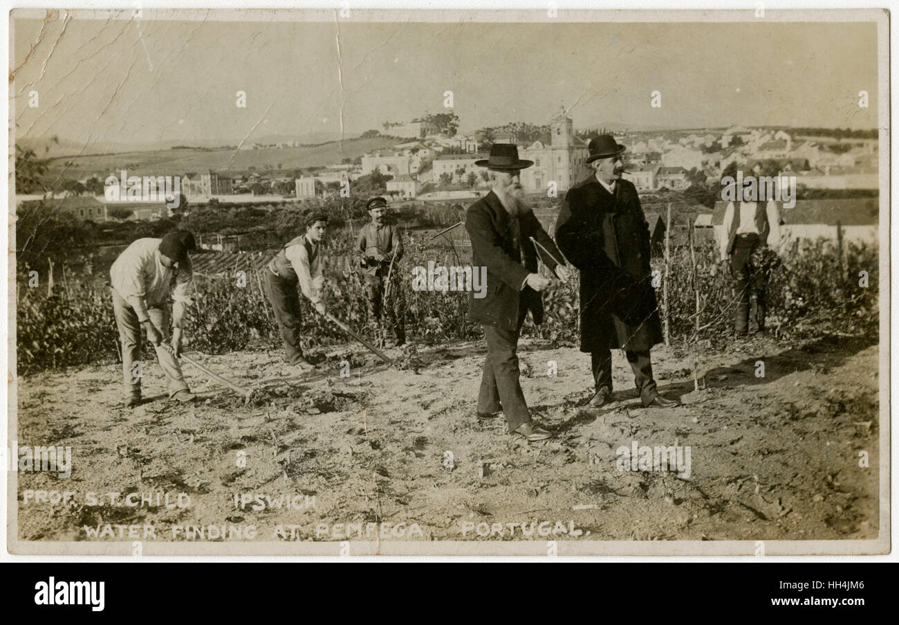 Professor S T Child of Ipswich dowsing for water in a vineyard, Pemfega, Portugal.. In 1902 twelve residents of Flowton (a small village near Ipswich) successfully made Prof Child pay one Alfred Coe the sum of £10 as a penalty for giving bad advice as to Stock Photo