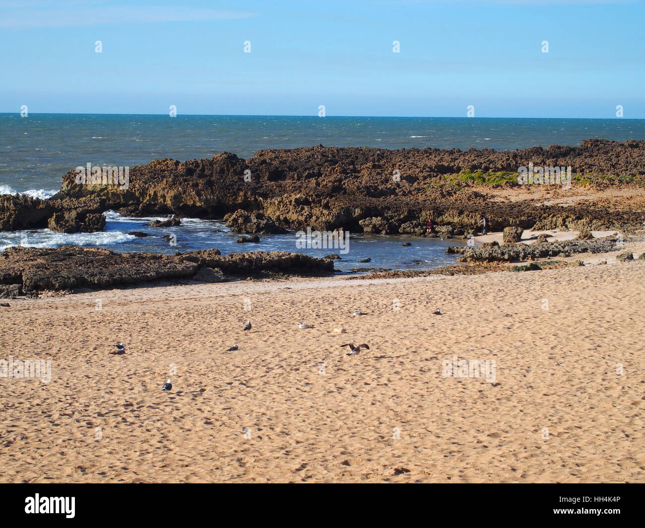Desolate rocky beach landscape in Oualidia village with clear blue sky in warm sunny winter day, MOROCCO on MARCH 2016 Stock Photo
