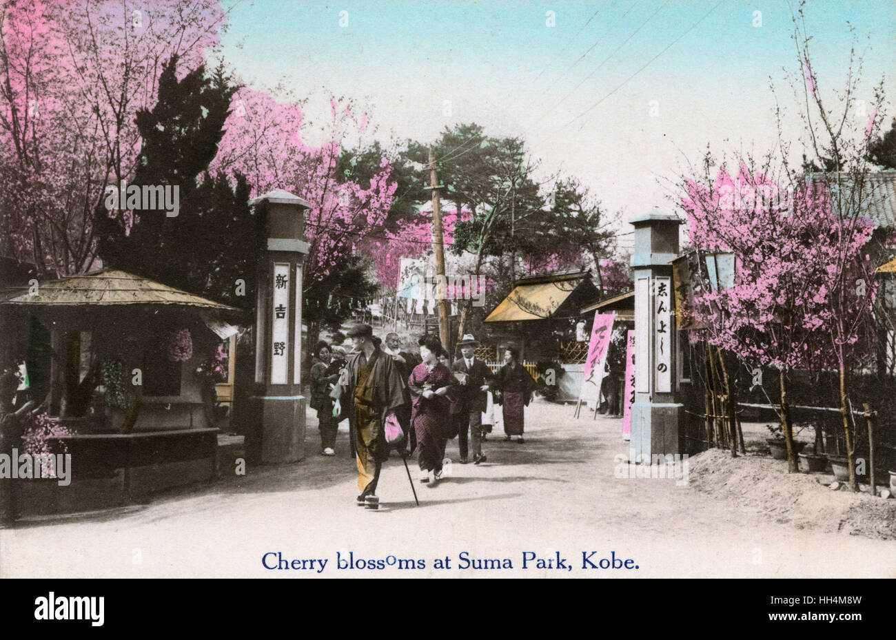 Cherry Blossom at Suma Rikyu Park, Kobe, Japan Stock Photo