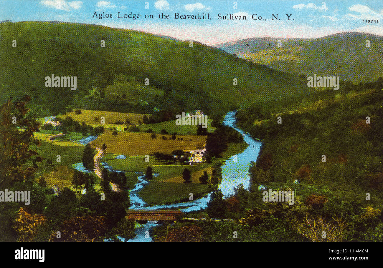 Aerial view, Agloe Lodge on the Beaverkill, Sullivan County, New York 