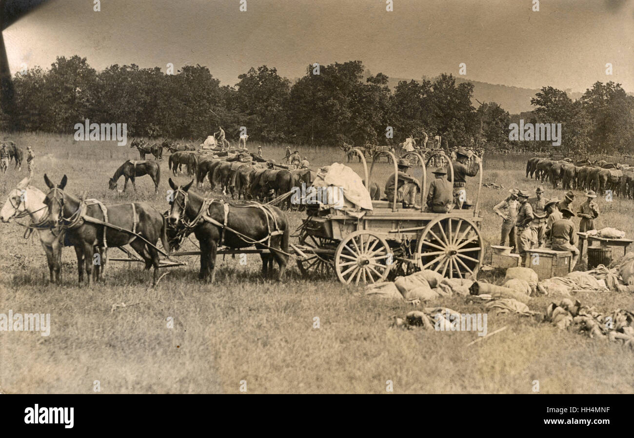 American cavalry soldiers in field, USA Stock Photo - Alamy