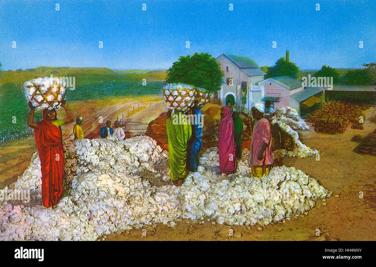 Commonwealth Instiute - Diorama - Cotton growing in India Stock Photo