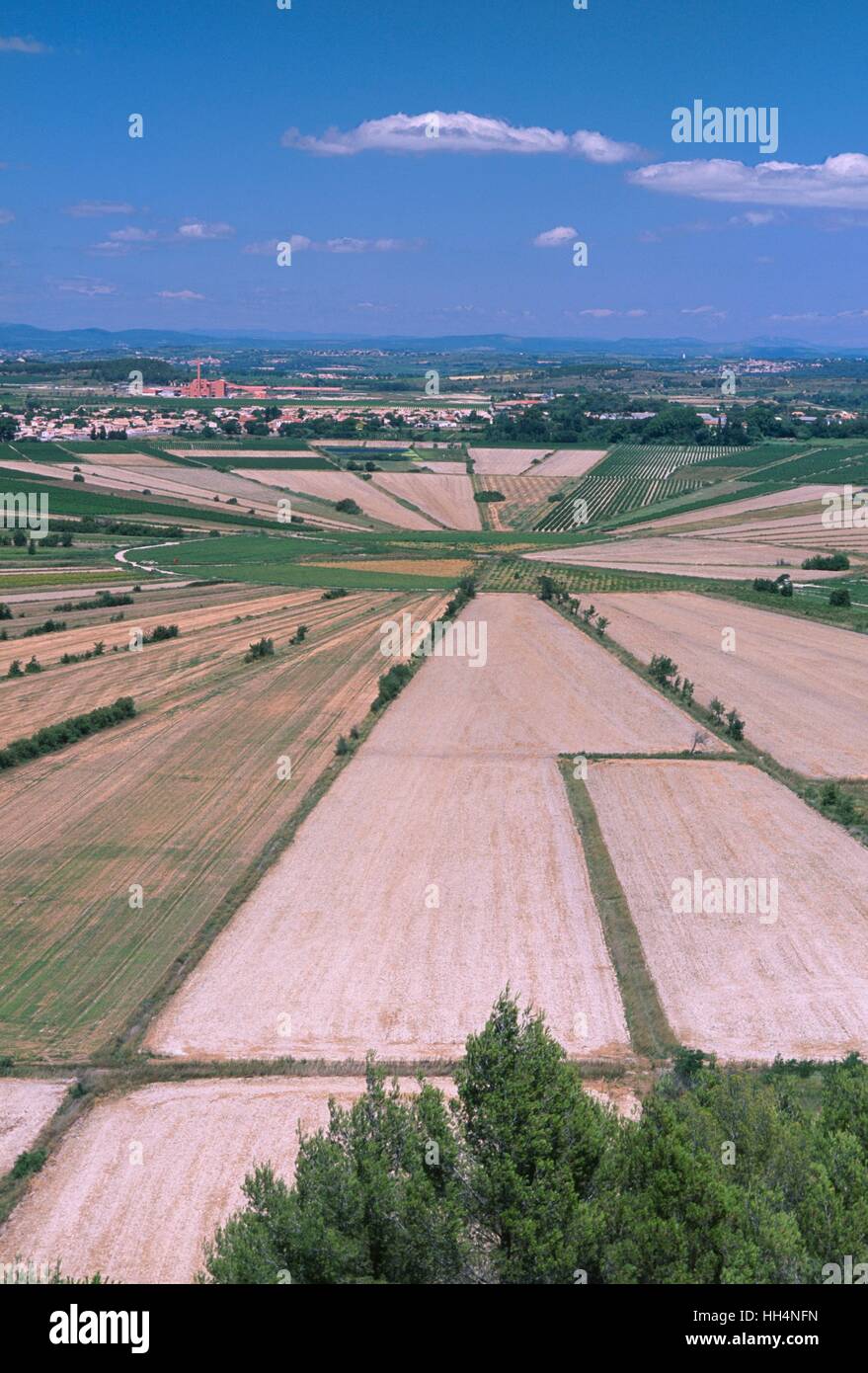 Lake Montady which became dry in 1247, France, Southern France, Languedoc-Roussillon Stock Photo