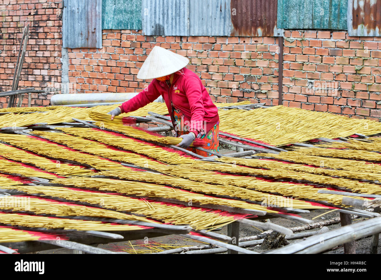 Worker distributing incense sticks for drying. Stock Photo