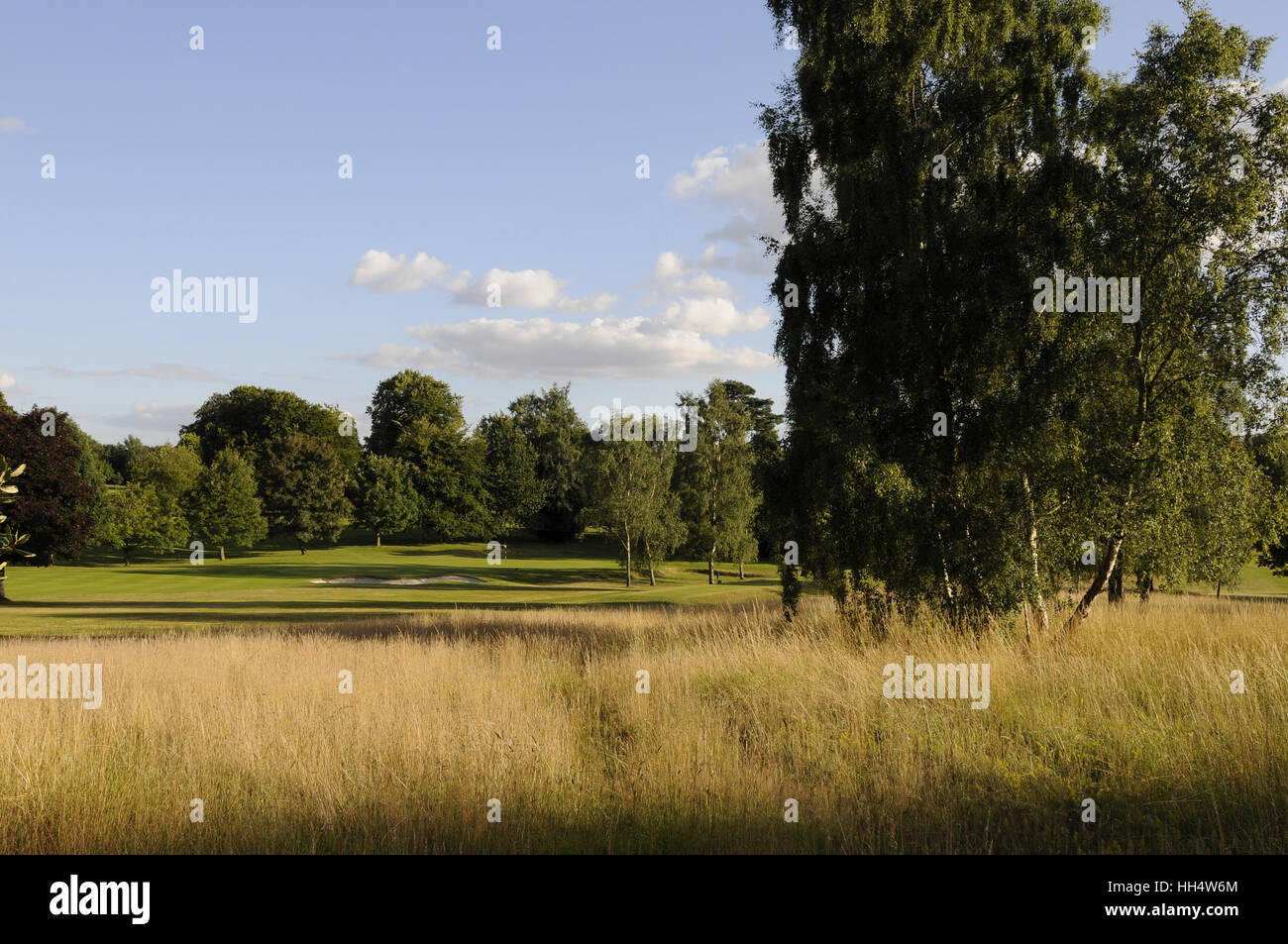 View over Fescue grass to Fairway and Green of 1st Hole Basingstoke Golf Club Hampshire England