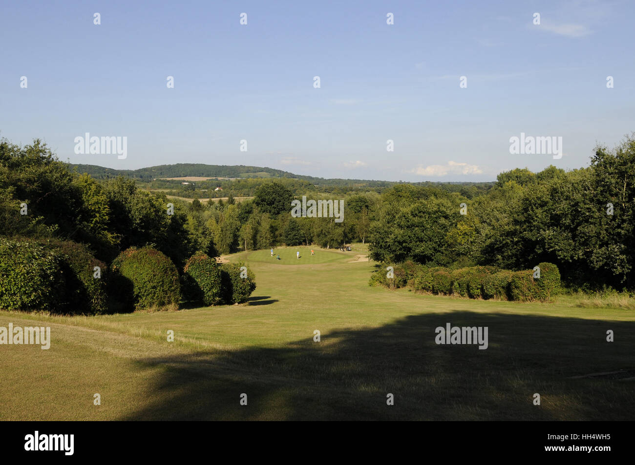 View of the 14th Hole from the Tee with Surrey Hills in background