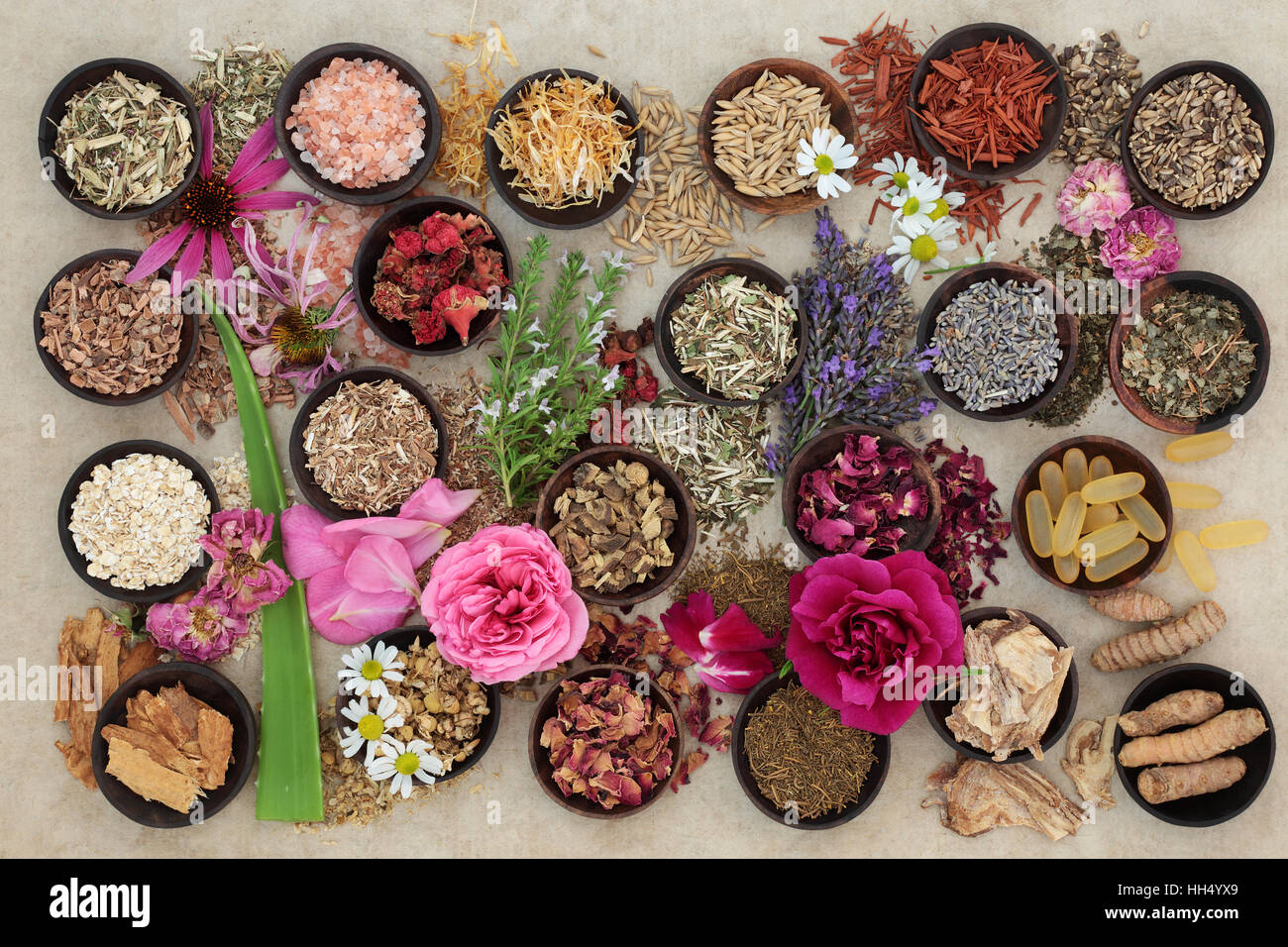 Herb And Flower Selection Used In Herbal Medicine To Heal Skin