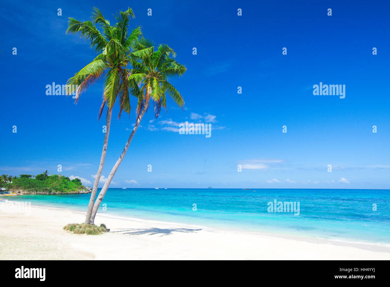 tropical beach with coconut palm Stock Photo - Alamy