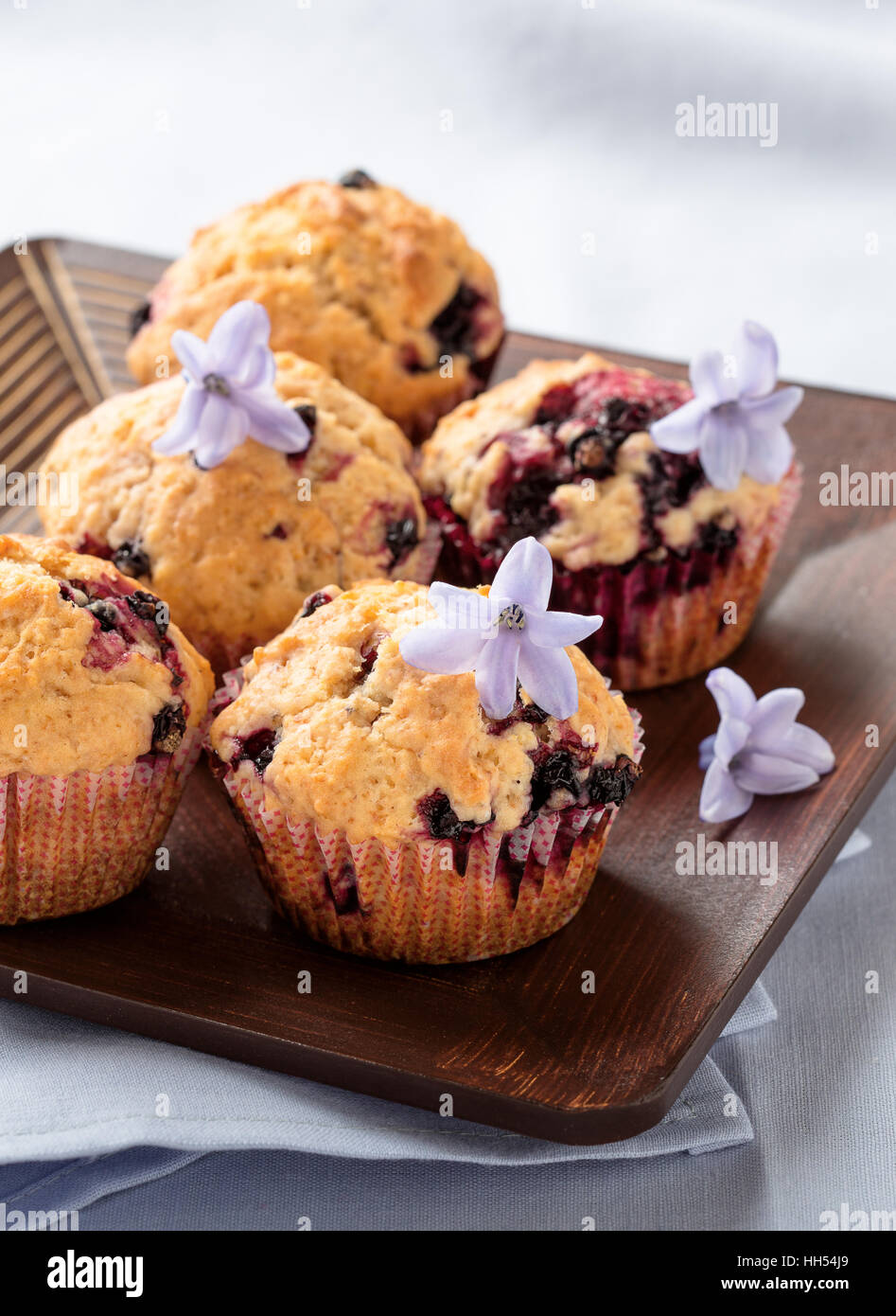 Homemade black berry muffins. Muffins with black currant for mother's